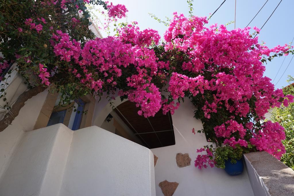 Patmos Maria Studios Skála Camera foto